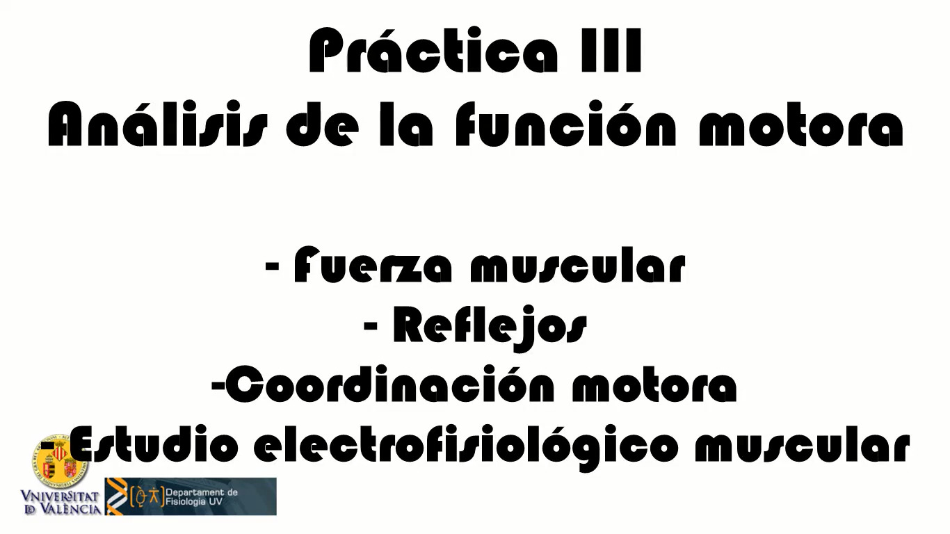 Práctica 3. Estudio de la Función Motora