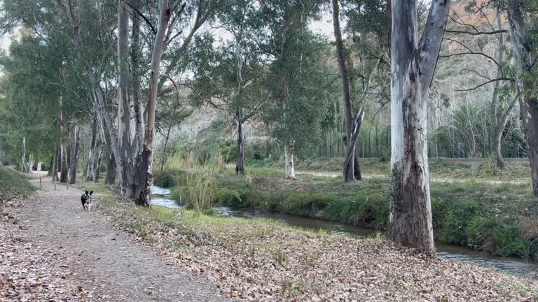 La ruta del agua, Chelva