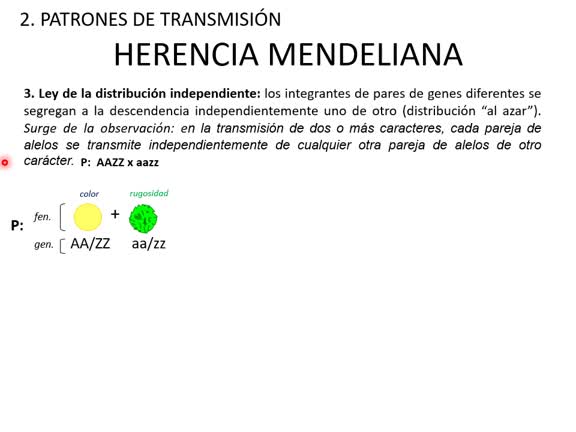 16-Transmision de la informacion genetica_intermedio
