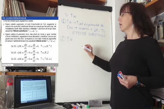 Efectes dels canvis salarials amb el model renda oci